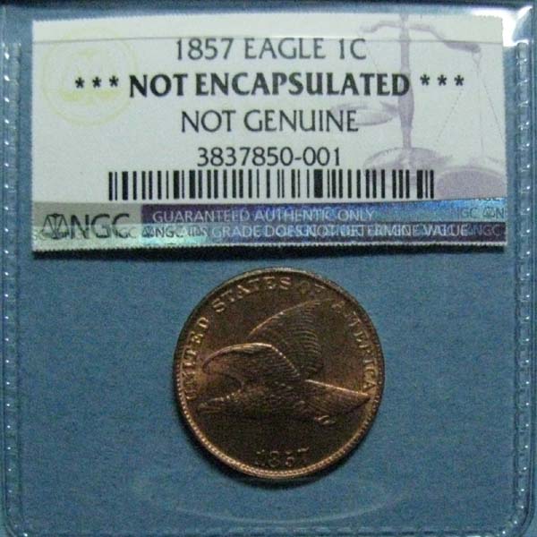 My-1857-Flying-Eagle-Cent-Is-Back-From-NGC-And-It's-Not-Good